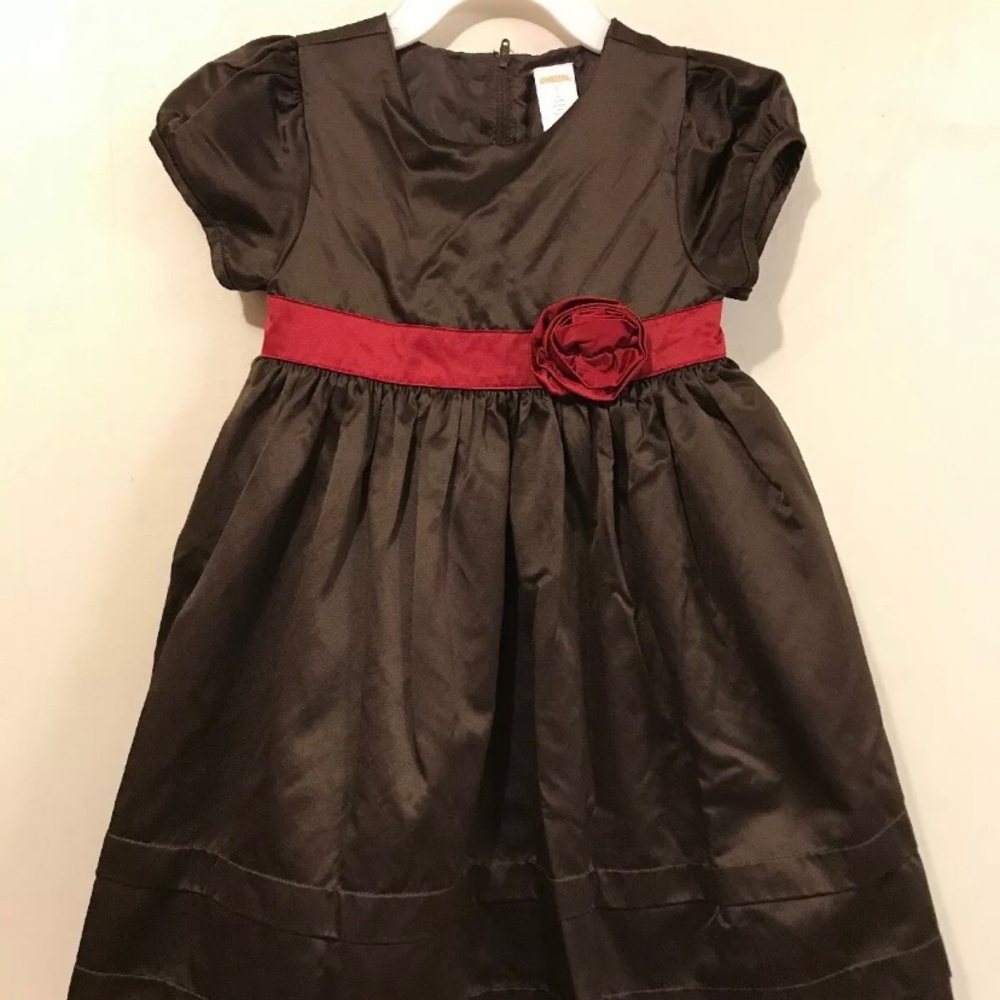 Gymboree Roset Taffeta Dress Brown Red Rose 3T